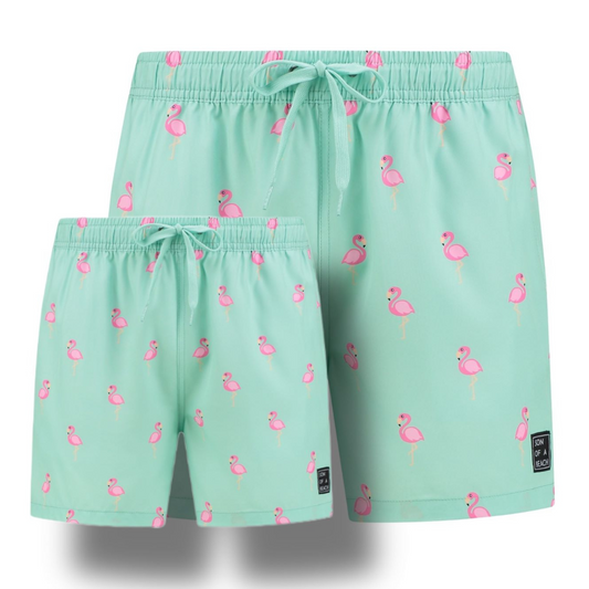 Flamingo, Groen, Vader en zoon zwembroek