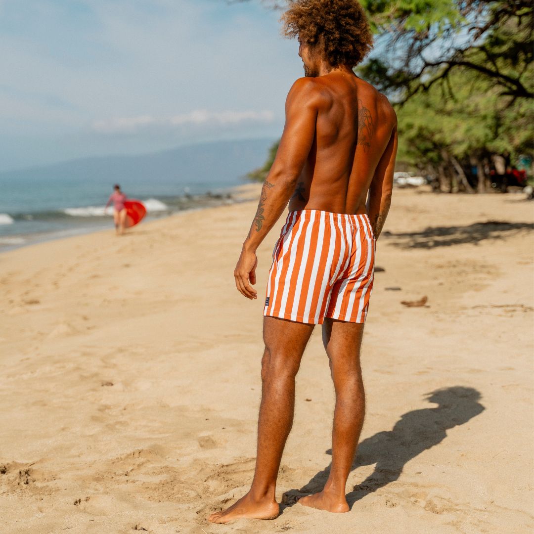 Striped, Brown, Father and daughter swimwear