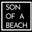 Son of a Beach logo